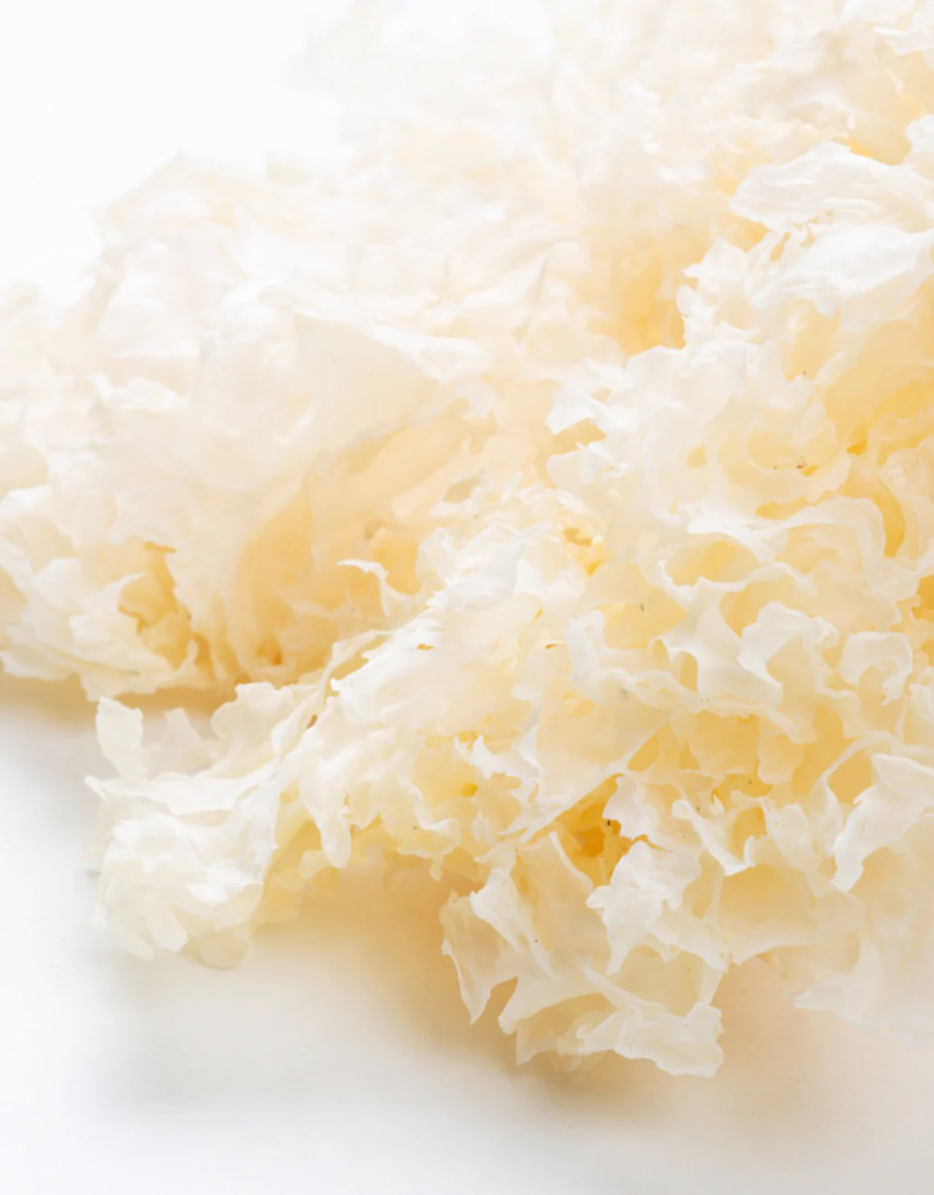 Morning Glow | Mushroom Coffee Cokare - Imagen 4